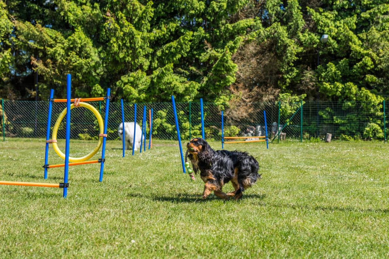 Domy Morskie Dog Friendly Jantar Kültér fotó