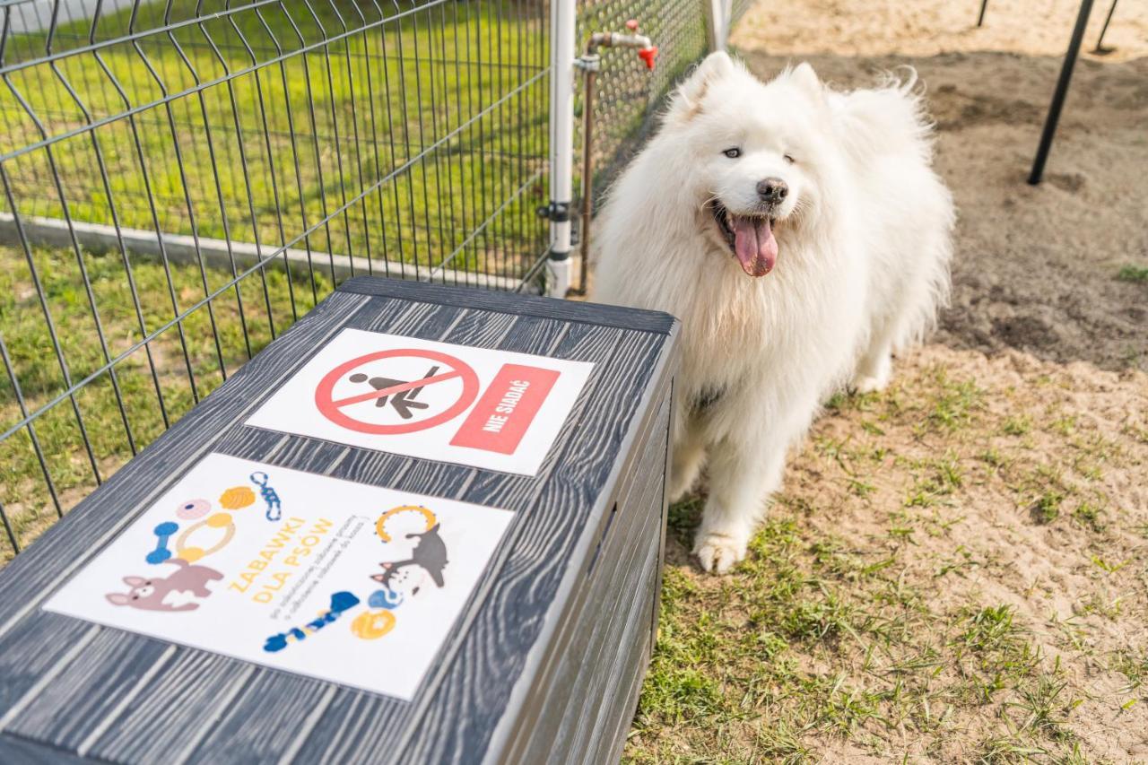 Domy Morskie Dog Friendly Jantar Kültér fotó