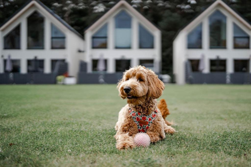 Domy Morskie Dog Friendly Jantar Kültér fotó